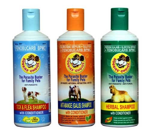Effective Anti-Galis Shampoo For Dogs 